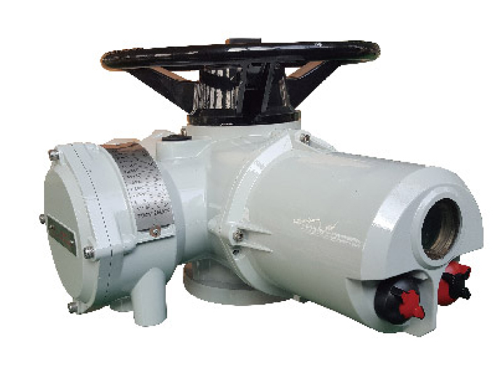 RJ、RJM多回轉(zhuǎn)智能型電動(dòng)執(zhí)行器